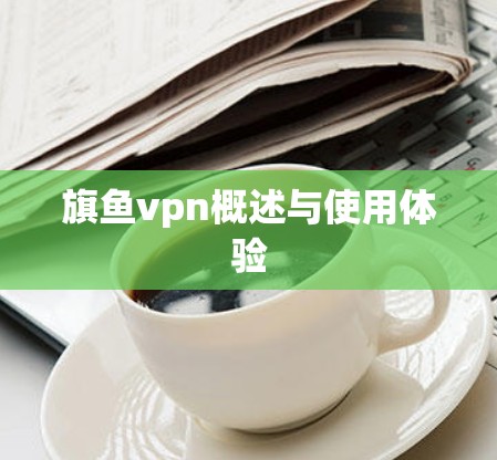 旗鱼vpn概述与使用体验