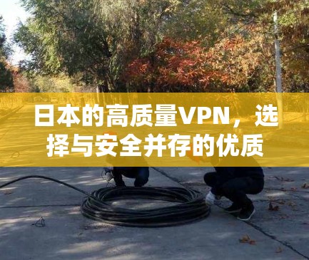 日本的高质量VPN，选择与安全并存的优质服务