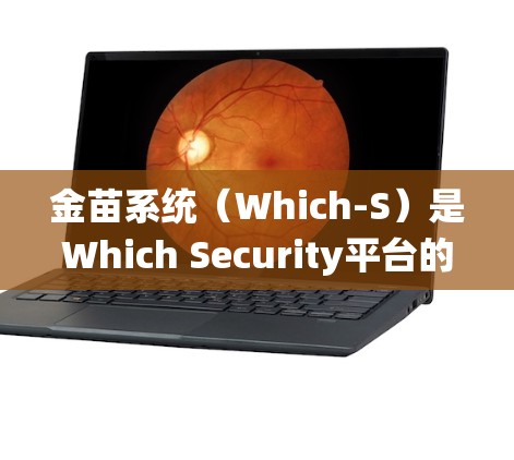 金苗系统（Which-S）是Which Security平台的一部分，它提供了一个安全的VPN解决方案。然而，使用金苗系统VPN时，需要注意以下几点，以确保网络的安全和隐私