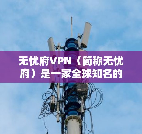 无忧府VPN（简称无忧府）是一家全球知名的VPN服务提供商，专注于提供安全、可靠和便捷的网络连接服务。以下是关于无忧府VPN的一些关键信息和分析
