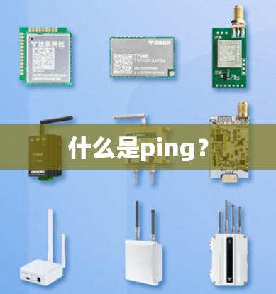 什么是ping？
