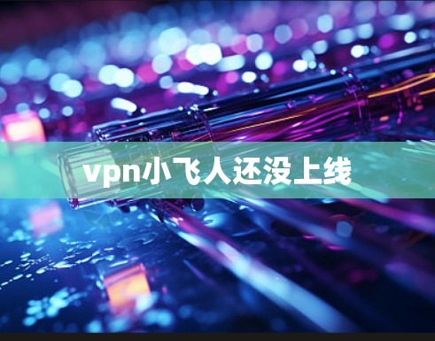 vpn小飞人还没上线
