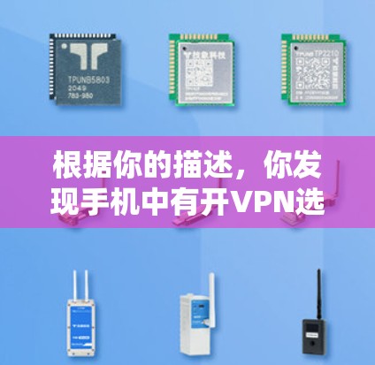 根据你的描述，你发现手机中有开VPN选项，但显示没网络。以下是逐步解决方案