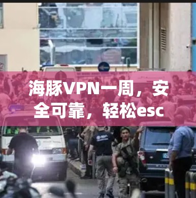 海豚VPN一周，安全可靠，轻松escape