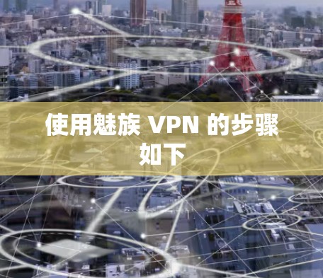 使用魅族 VPN 的步骤如下