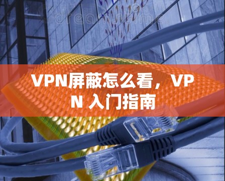 VPN屏蔽怎么看,VPN 入门指南