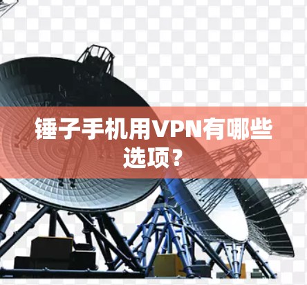 锤子手机用VPN有哪些选项？