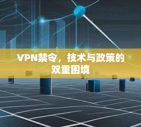 VPN禁令，技术与政策的双重困境