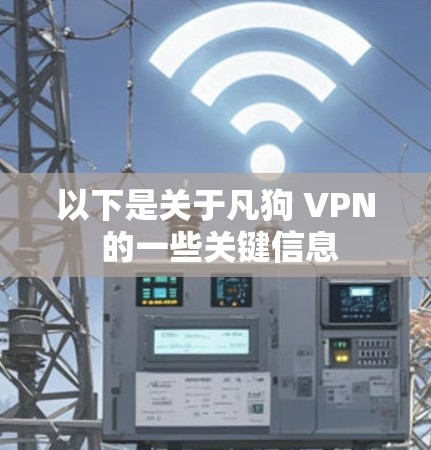 以下是关于凡狗 VPN 的一些关键信息