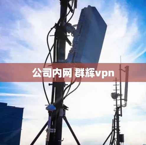公司内网 群辉vpn