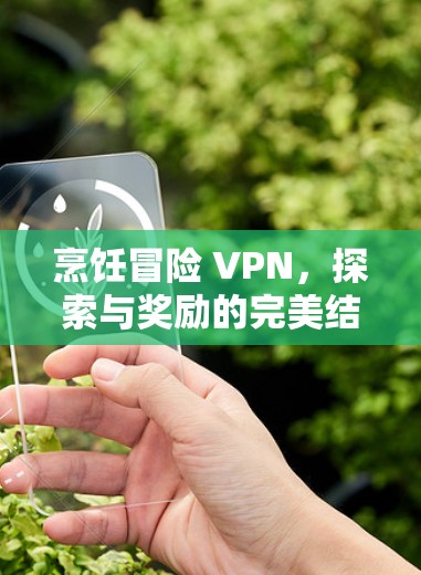 烹饪冒险 VPN,探索与奖励的完美结合