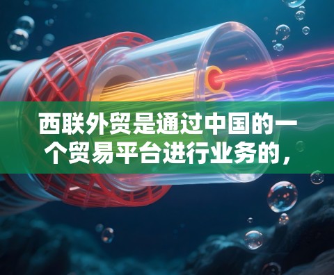 西联外贸是通过中国的一个贸易平台进行业务的,如果你需要使用VPN来增强安全和隐私,可以考虑以下几种常见且安全的VPN服务