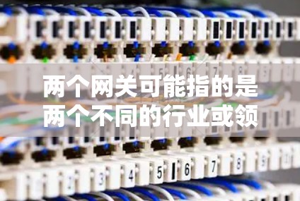 两个网关可能指的是两个不同的行业或领域中的网关,或者指的是两个不同的业务场景中的网关。以下是一些可能的解释