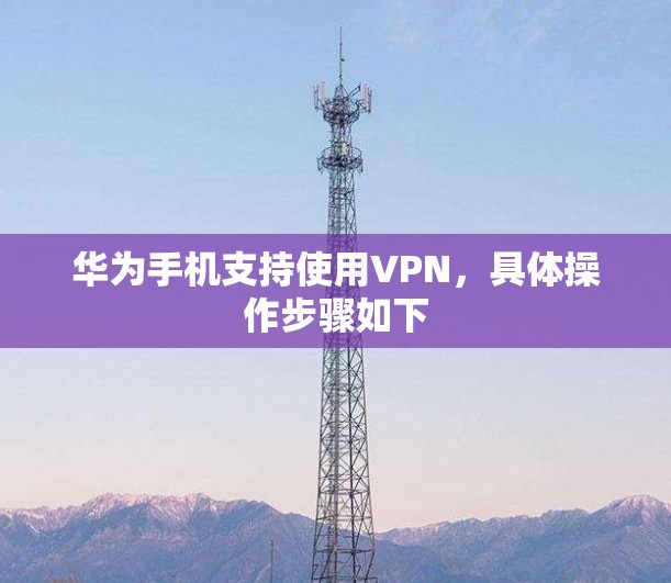 华为手机支持使用VPN，具体操作步骤如下