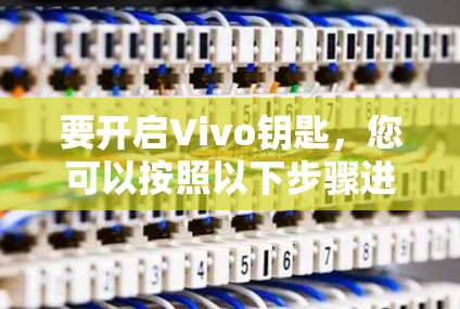 要开启Vivo钥匙,您可以按照以下步骤进行操作