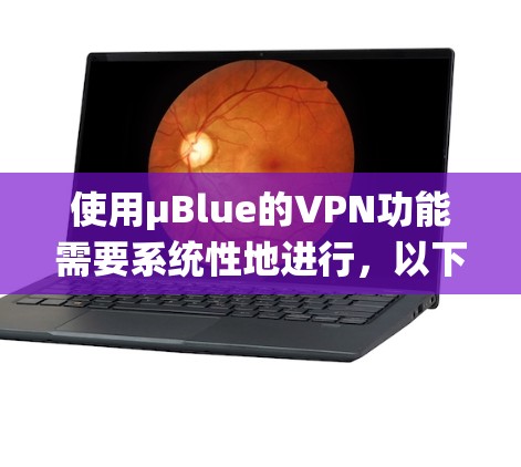 使用μBlue的VPN功能需要系统性地进行,以下是一步步的指南