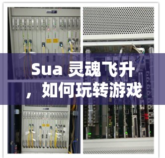 Sua 灵魂飞升,如何玩转游戏与游戏