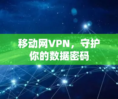 移动网VPN,守护你的数据密码