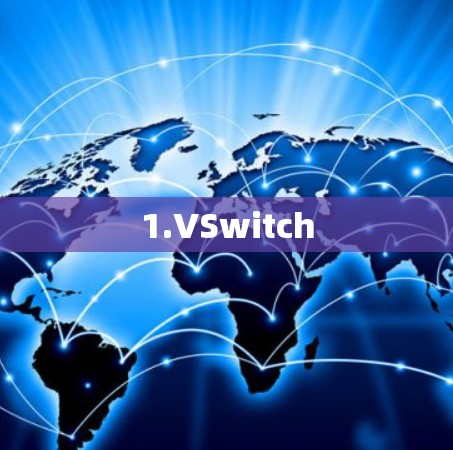 1.VSwitch