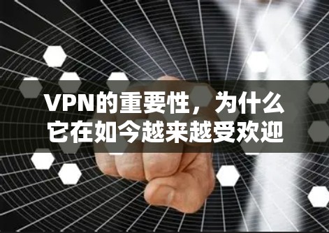 VPN的重要性,为什么它在如今越来越受欢迎