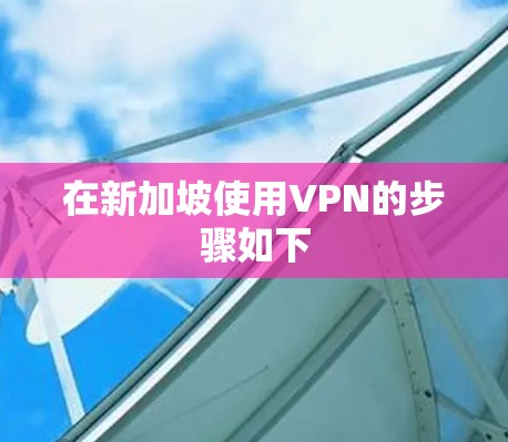 在新加坡使用VPN的步骤如下