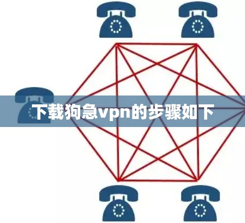 下载狗急vpn的步骤如下