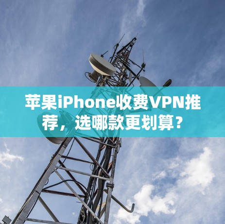 苹果iPhone收费VPN推荐，选哪款更划算？