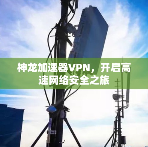 神龙加速器VPN,开启高速网络安全之旅