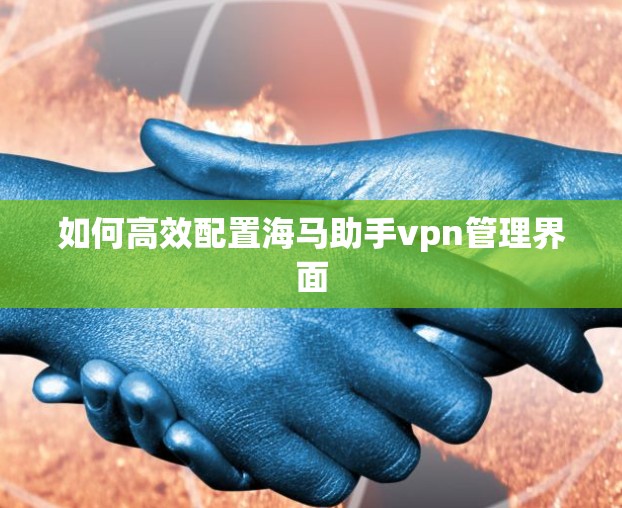 如何高效配置海马助手vpn管理界面