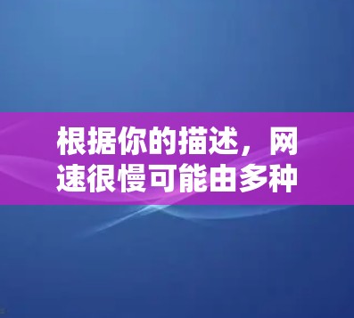 根据你的描述,网速很慢可能由多种因素导致,以下是一些可能的解决方案