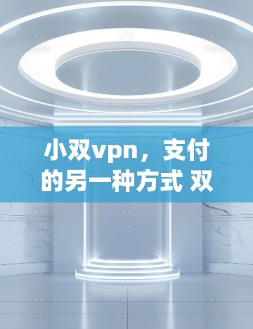 小双vpn,支付的另一种方式 双倍支付的加密方式