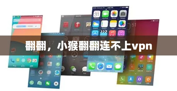 翻翻,小猴翻翻连不上vpn