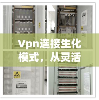 Vpn连接生化模式，从灵活性到安全性的新解决方案