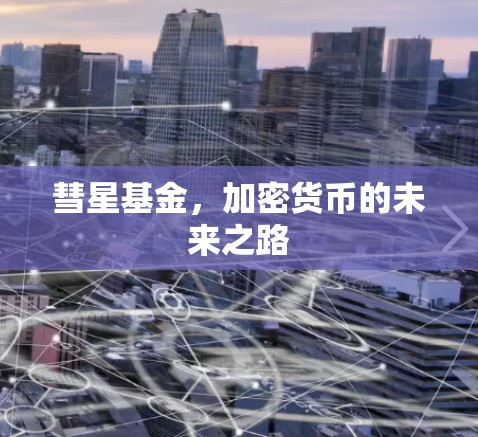 彗星基金，加密货币的未来之路