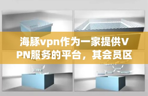 海豚vpn作为一家提供VPN服务的平台，其会员区设计多样，用户可以根据自己的需求选择适合自己的服务。以下是其主要会员区和功能的详细说明