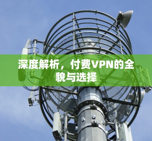 深度解析，付费VPN的全貌与选择