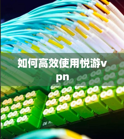 快连加速器VPN下载 第45页