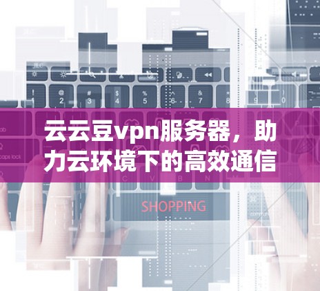 云云豆vpn服务器，助力云环境下的高效通信与数据安全