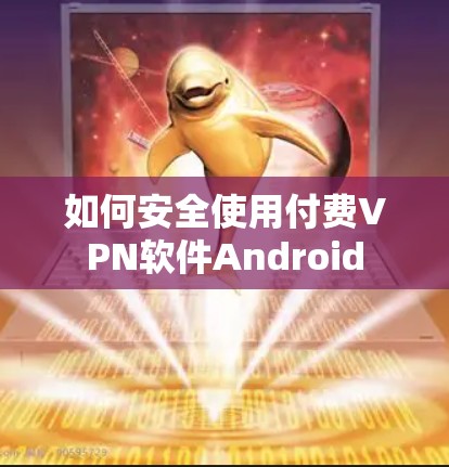 如何安全使用付费VPN软件Android