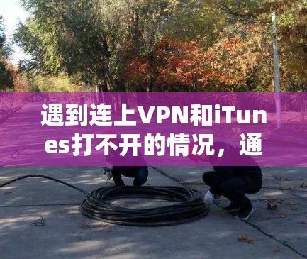 遇到连上VPN和iTunes打不开的情况，通常需要从多个方面进行检查和处理。以下是解决这个问题的步骤