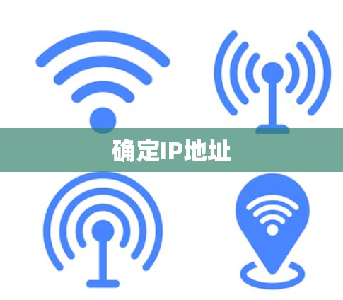 确定IP地址