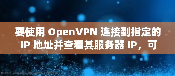 要使用 OpenVPN 连接到指定的 IP 地址并查看其服务器 IP，可以按照以下步骤操作