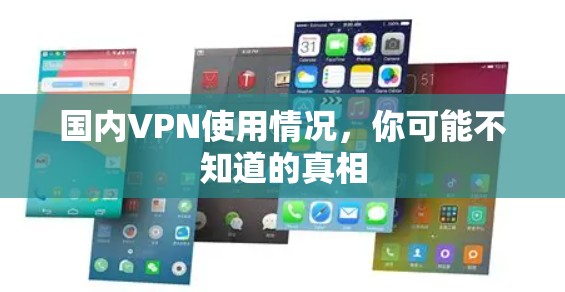 国内VPN使用情况，你可能不知道的真相