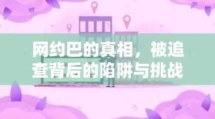 网约巴的真相，被追查背后的陷阱与挑战