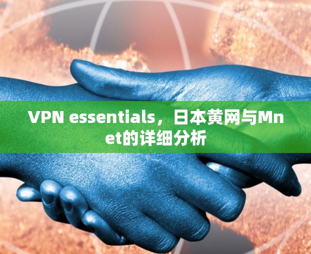 VPN essentials，日本黄网与Mnet的详细分析