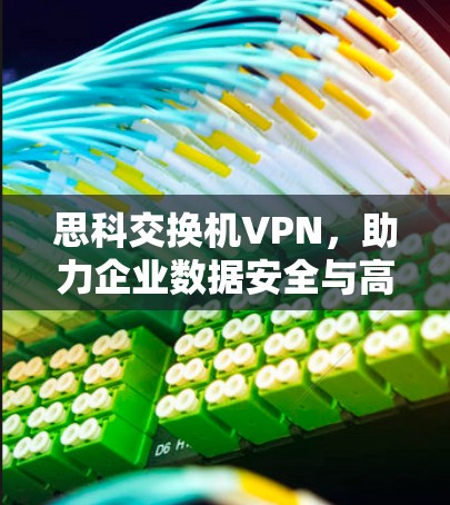 思科交换机VPN，助力企业数据安全与高效传输