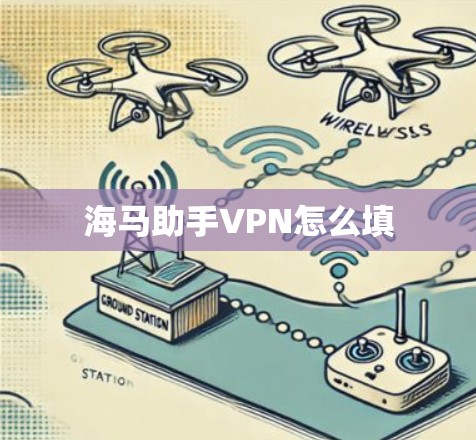海马助手VPN怎么填