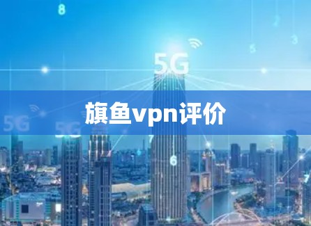 旗鱼vpn评价