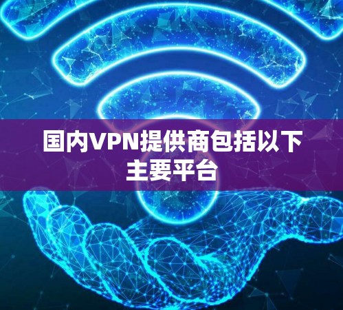 国内VPN提供商包括以下主要平台
