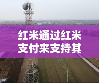 红米通过红米支付来支持其红米网络,后者提供高可靠的VPN服务。以下是关于红米如何授权VPN的详细步骤